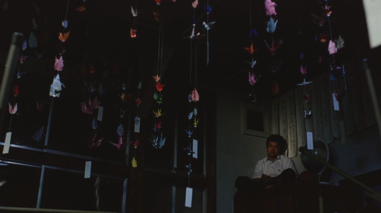boy surrounded by hanging paper cranes