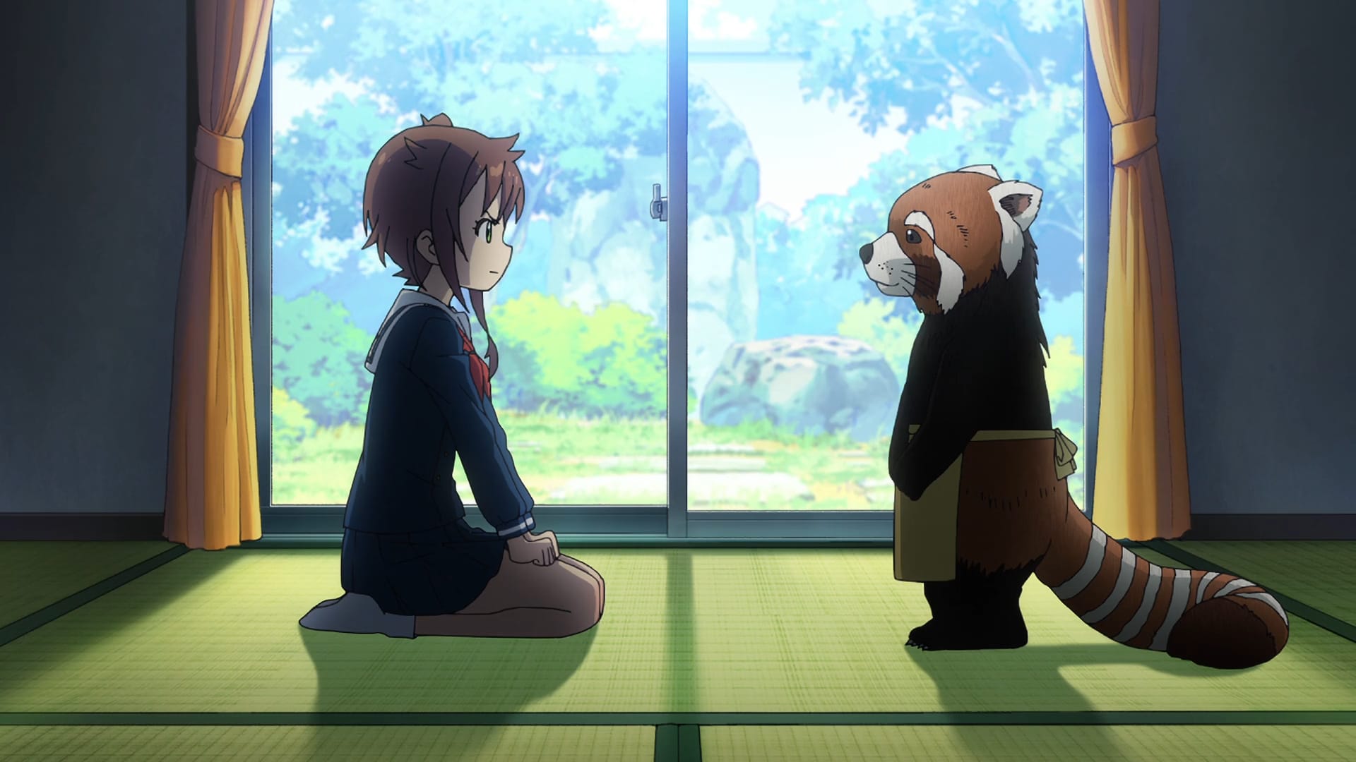girl kneels in front of friendly red pandas