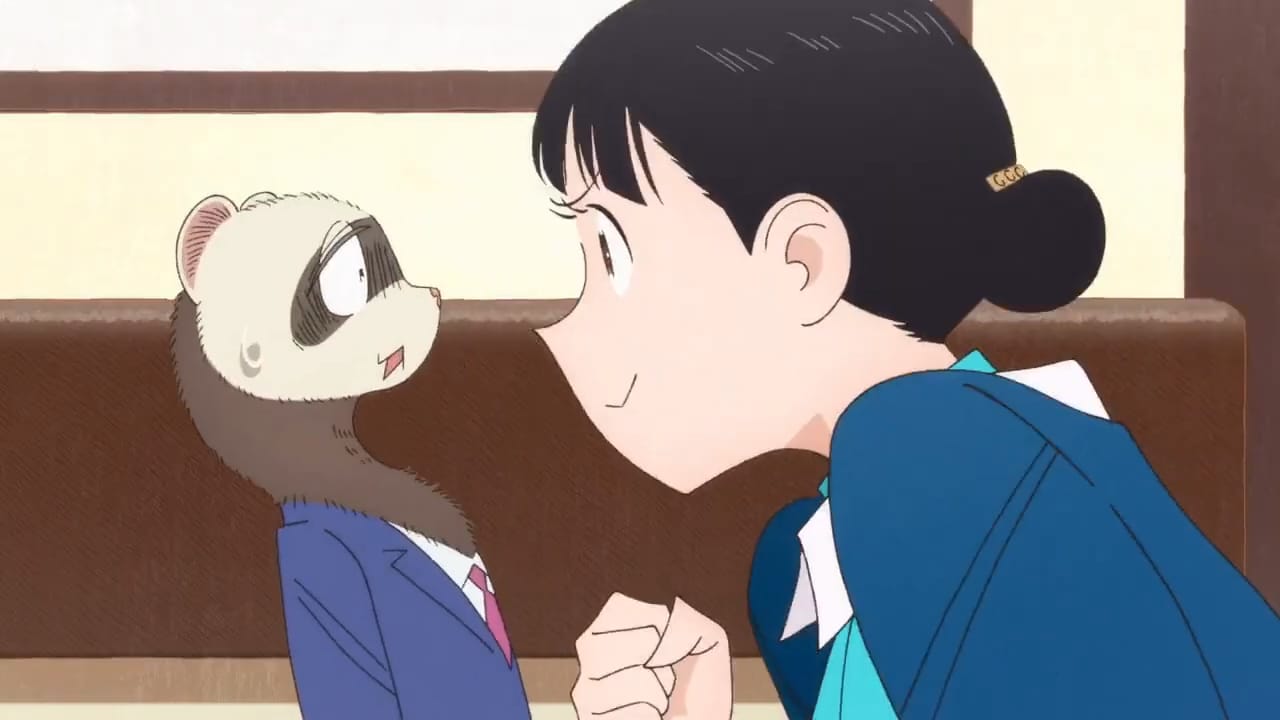 akino hypes up an anxious ferret